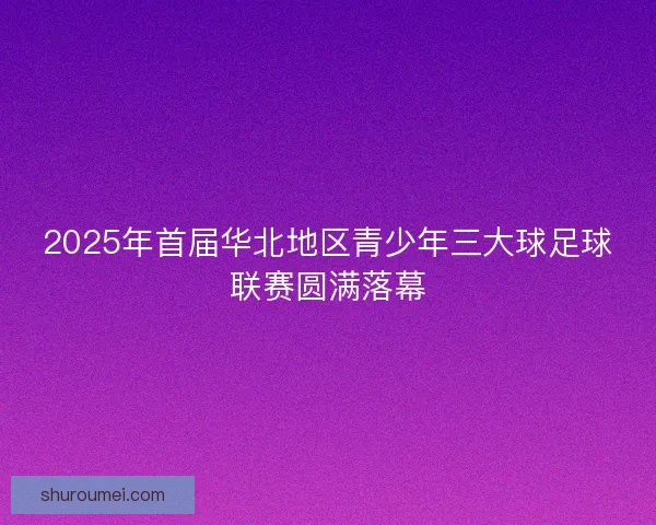 2025年首届华北地区青少年三大球足球联赛圆满落幕