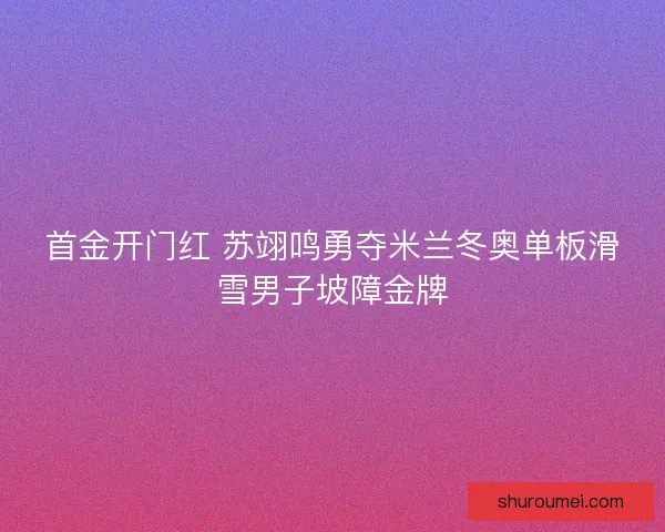 首金开门红 苏翊鸣勇夺米兰冬奥单板滑雪男子坡障金牌