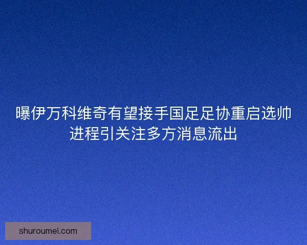 曝伊万科维奇有望接手国足足协重启选帅进程引关注多方消息流出
